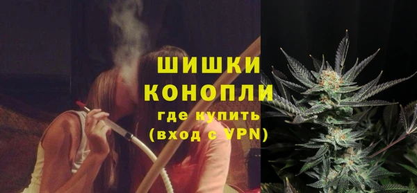 гидра Пестово