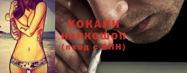 гидра Пестово