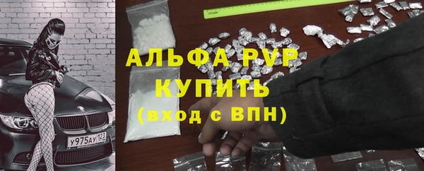 jwh Пересвет