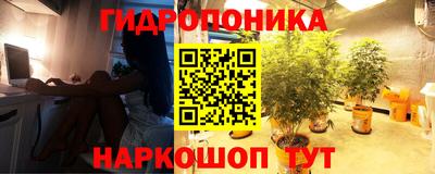 наркотики Кандалакша