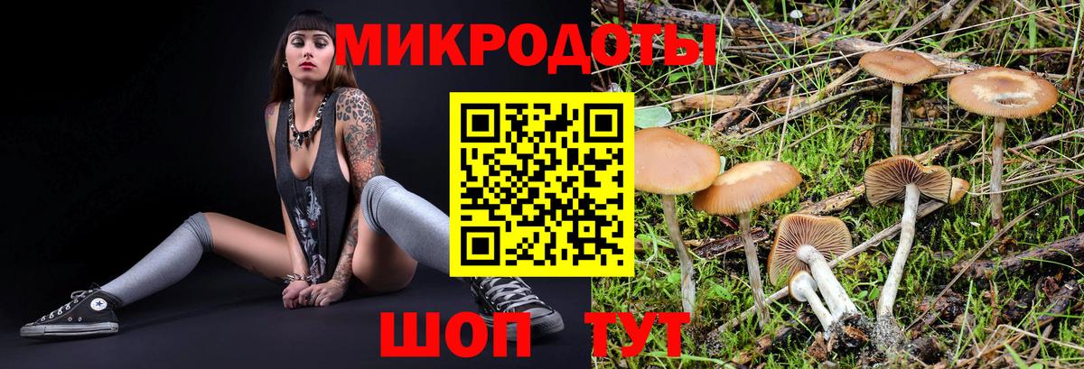 Псилоцибиновые грибы MAGIC MUSHROOMS  Вход с VPN  Ленинск-Кузнецкий 