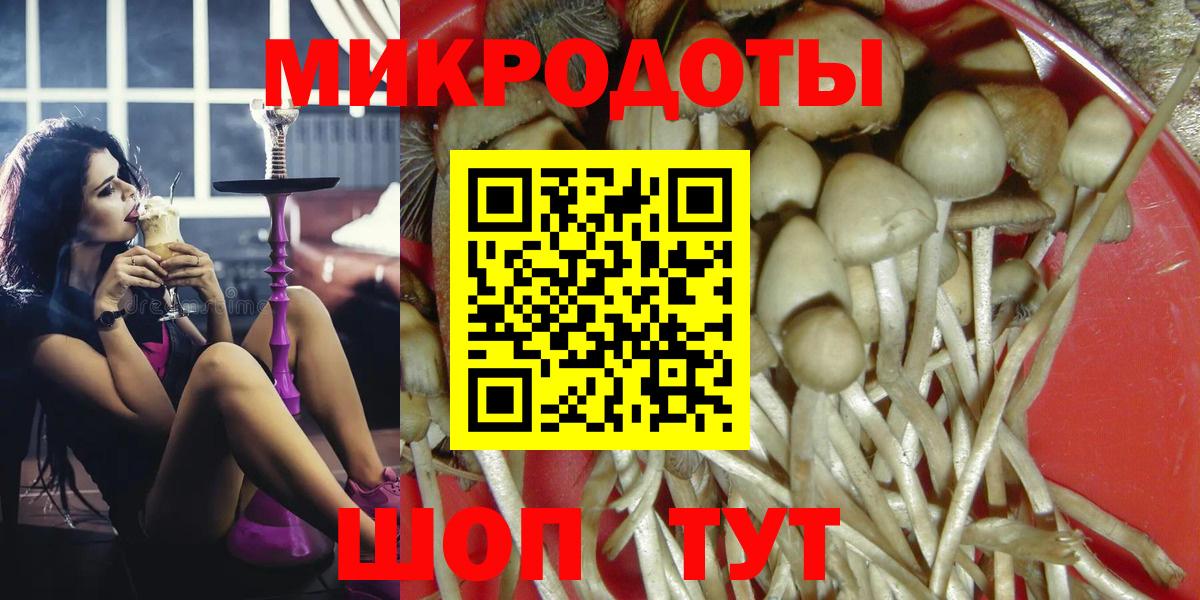 Галлюциногенные грибы GOLDEN TEACHER  Галлюциногенные грибы Psilocybe  как найти наркотики  Ленинск-Кузнецкий 