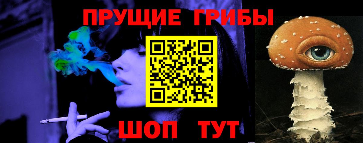 Псилоцибиновые грибы Ленинск-Кузнецкий