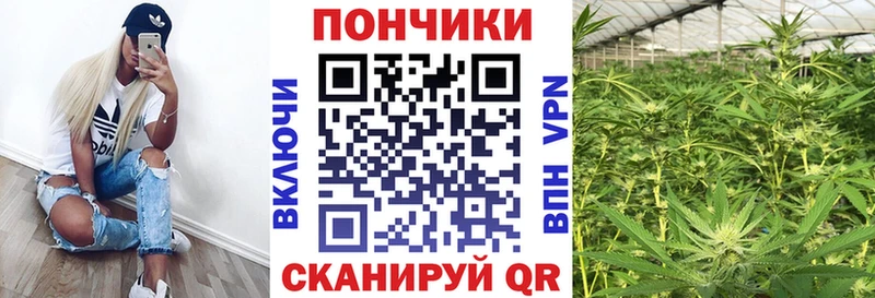 Бошки Шишки конопля mega зеркало Ленинск-Кузнецкий наркотики